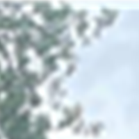 Foto van Erik Seffelaar